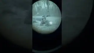 Using iR laser/illumination Under night vision makes shooting a lot easier at night! 🇺🇸