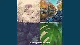 Exquisite Moods for Resting