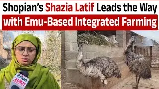 Shopian&rsquo;s Syed Shazia Latif has embraced integrated farming with Emu and exotic poultry
