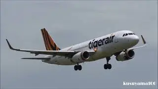 ✈✈大荒れの成田空港 最大瞬間風速２５ｍ Go Around ゴーアラウンド   Heavy storm ウインドシアwindshear Super Crosswind Narita RWY16R
