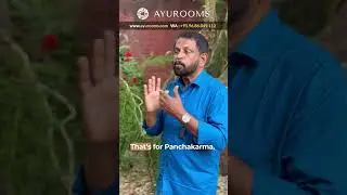 WHAT IS SNEHAPANA? Ghee Drinking & Panchakarma Explained!