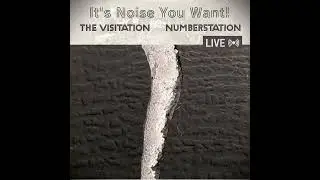 The Visitation + NUMBER5TATION - It's Noise You Want! 23/8/25 (industrial + black industrial)