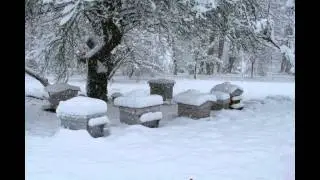 Permaculture et apiculture - rucher hiver 2010
