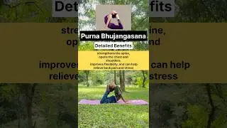 Cobra pose #yogaforbeginners #beginneryoga #easyyoga #gentleyoga #yogapractice