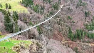 Germany: Blackforest line - suspension bridge