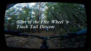 Free Wheel 'n Track - Kunanyi / Mt Wellington MTB Tasmania