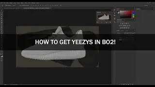 HOW TO GET YEEZYS IN BO2!