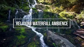 Tranquil Waterfall Oasis: Relaxation & ASMR | Serene Nature Sounds for Meditation | 1 Full Hour | 4K
