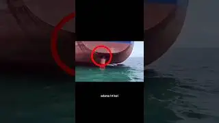After 14 Days at the Rudder of a Cargo Ship, 4 Nigerian Men Were Rescued by Brazilian Police #nig...