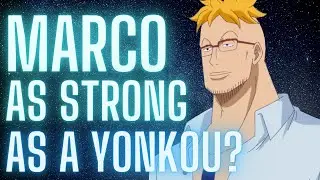 Marco near YONKOU level at this point? | OWNS QUEEN & KING | One Piece Manga Chapter 1007 review pt2