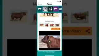GENEX Beef App