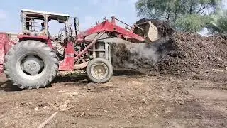 Large scale Chicken manure compost different stages