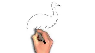 flightless bird emu, single-line drawing of an emu