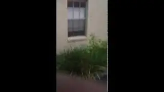 Run off - flowing into Courtyard entrance -2-iPhone
