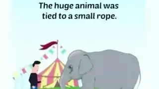 You Will Never Know Until You Try!!