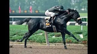 Wood Memorial Stakes (G1)  1992