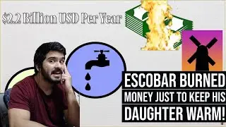The Absurd True Scale of Pablo Escobar's Wealth Visualized  (RealLifeLore) CG Reaction