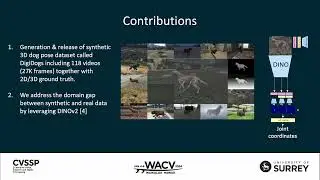 CV4Smalls Workshop Flash Talk: DigiDogs: Single-View 3D Pose Estimation of Dogs using Synthetic Data