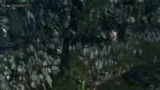 Villages outside Lordran