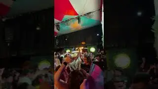 🔥 Casa PerrEo Vibes