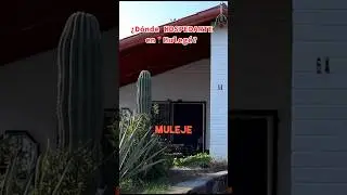 Hospedaje BARATO🤑 Mulege B.C.S. 🏝️