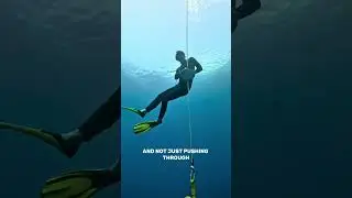 Freediving Master Program  #freedivinglife