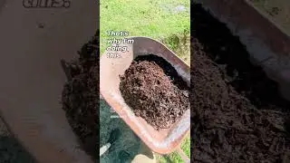 Getting Rid of the SAND! #garden2025 #soil #soilhealth #soillife