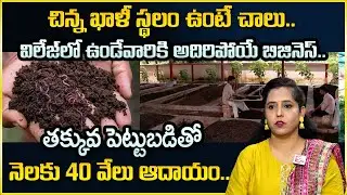 Vermicompost Business in Telugu | How To Make Vermicompost In Telugu |Money Management |Money Wallet