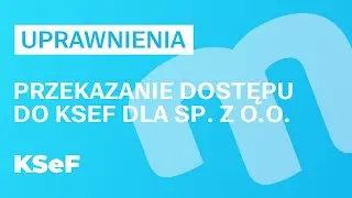Uprawnienia dla Sp z O.O. - udostępnienie dostępu | Poradnik KSeF dla spółki