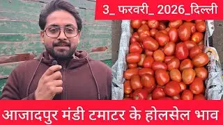 February 3, 2026 दिल्ली 🍅टमाटर के भाव azadpur Delhi mandi today #tomatomarket #delhitomatomarket