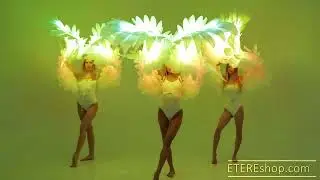 Angel Wings 3 ladies