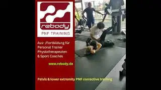 REBODY&reg; PNF Training Modul 1 - Aus- / Fortbildung f&uuml;r Personal Trainer, Physiotherapeuten & Coaches