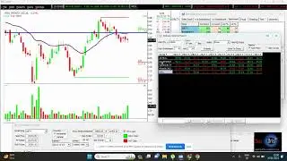 Stocks with More than 80% Delivery Volume | Friday Not for Options Buyer