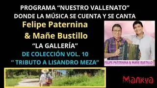 FELIPE PATERNINA  & MA&Ntilde;E BUSTILLO  