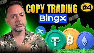 Copy Trading en BingX: Descubre C&oacute;mo Copiar a los Mejores Traders