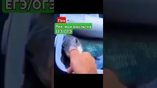 #funny #fish #memes Мои мысли на контрольной #shark #edit #dance #roblox #voiceeffects #стандофф