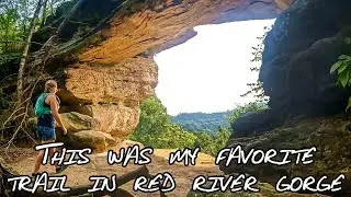 Exploring the Most Popular Trail in Red River Gorge-Double Arch,  Courthouse Rock, and Auxier Ridge