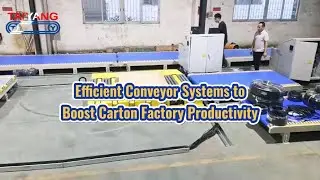 Efficient Conveyor Systems to Boost Carton Factory Productivity