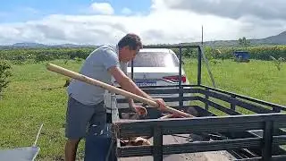 A nossa fogueira de São João no Rancho bela vista