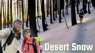 PCT SOBO 2025, серия 20: Agua Dulce в McDs