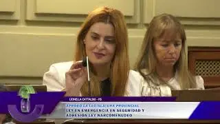 S1987 LIONELLA CATTALINI   PS LEY EN EMERGENCIA EN SEGURIDAD Y ADHESI&Oacute;N LEY NARCOMENUDEO