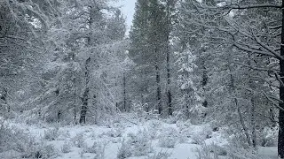 Winter Sled To Haul My Off-Grid Water before it freezes solid.