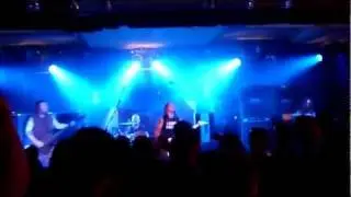 Bull-Riff Stampede- live-hi-definition-footage.mp4