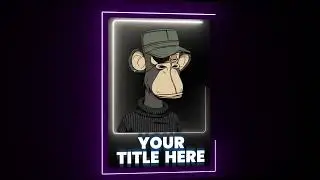 3D NFT Trading Cards