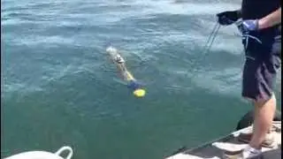 Magnetometer AUV for UXO detection