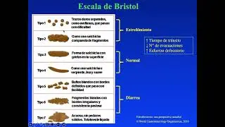 Sesi&oacute;n de experto: Trastornos de la defecaci&oacute;n