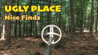Small Forest Patch, Great Result! Nice Treasure Hunt on an Ugly Slope