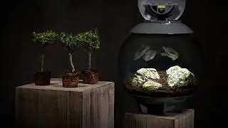 biOrb Air Bonsai