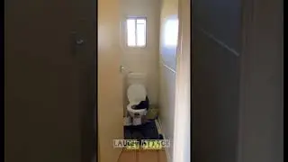 funny animals falling moments!😂 #animaljoy #cuteanimal #funny