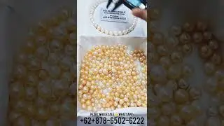 South Sea Pearl Farm & Pearl Wholesale 📱Whatsapp: +6287865026222 南洋珍珠批发销售👉微信 WeChat-ID:mutiarapearls